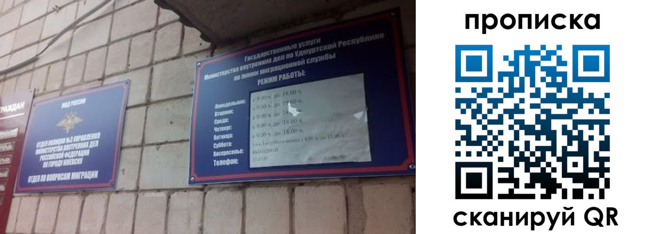 прописка 2025 в Ельне