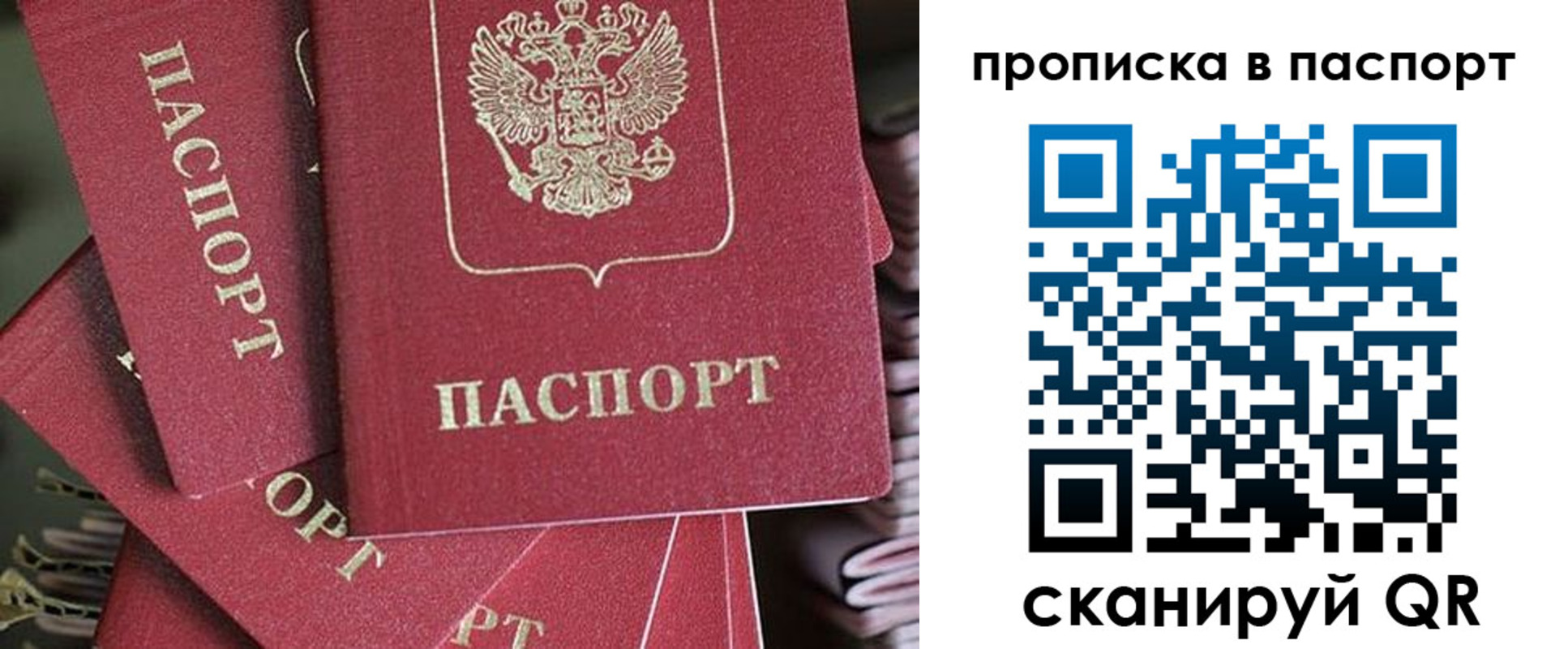 миграционный учет в Ельне